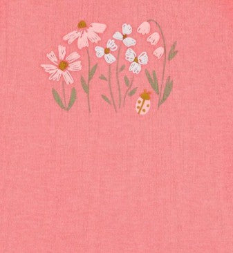 Conjunto de Bodys Floral e Joaninha Carter's